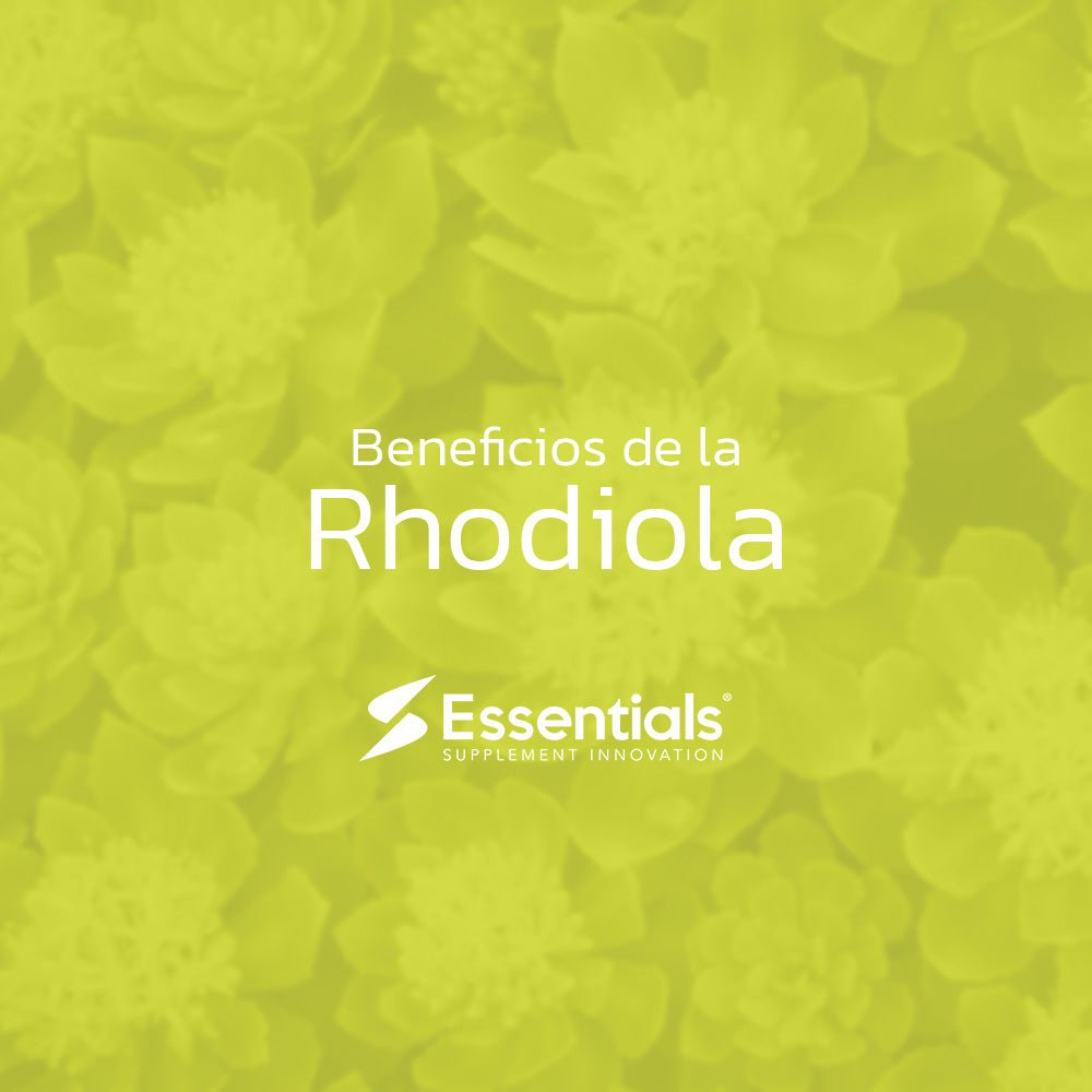 Rodhiola - Essentials