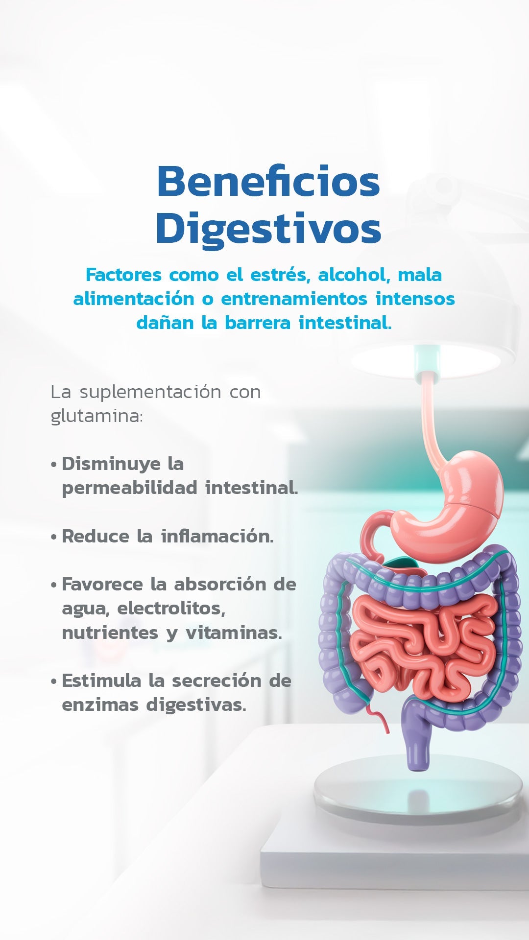 Glutamina - 500g - Essentials