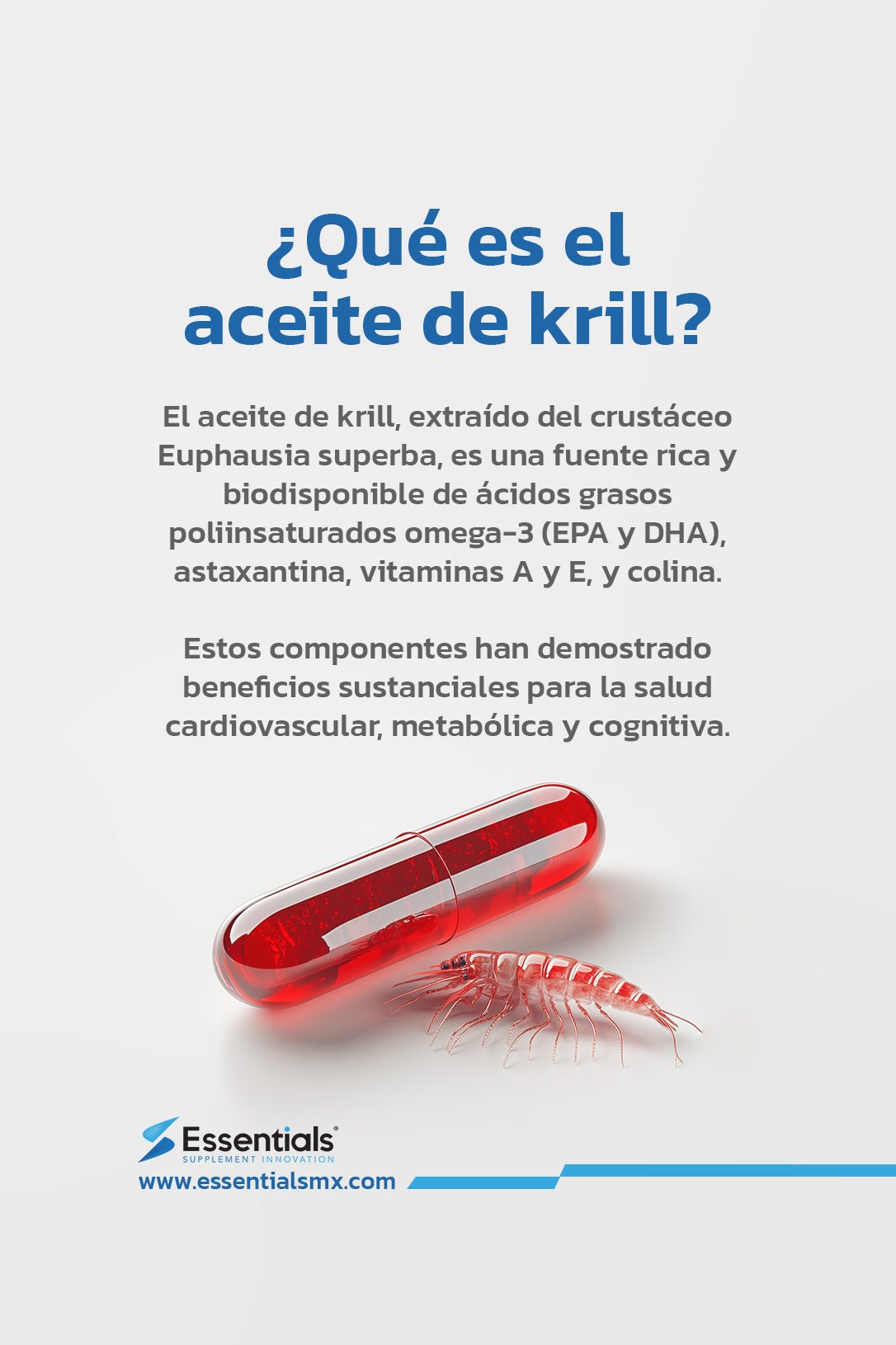 Krill - 60 cápsulas - Essentials