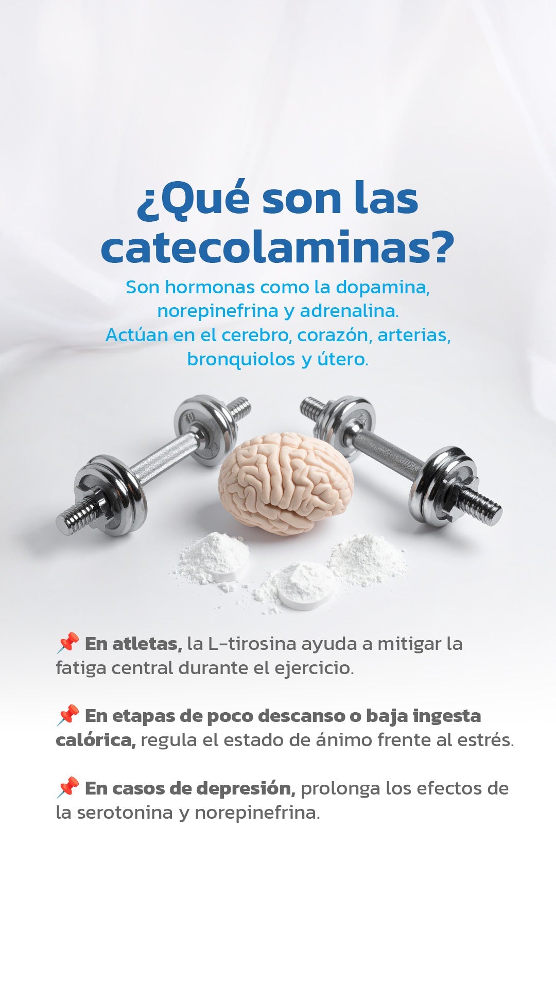 L - Tirosina 500 mg 60 capsulas - Essentials