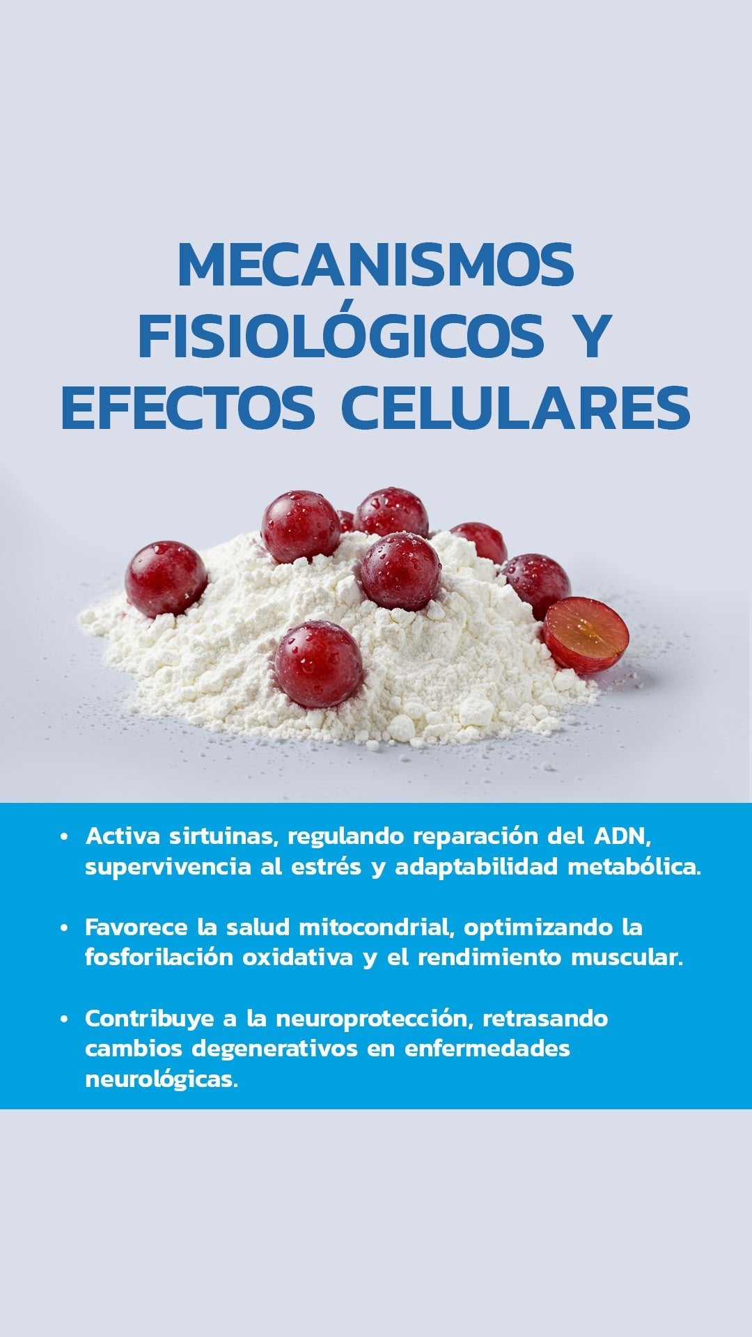 Trans - Resveratrol 98% 500mg 60 Cápsulas - Essentials