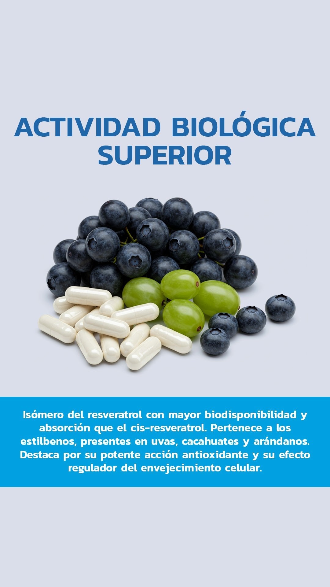 Trans - Resveratrol 98% 500mg 60 Cápsulas - Essentials
