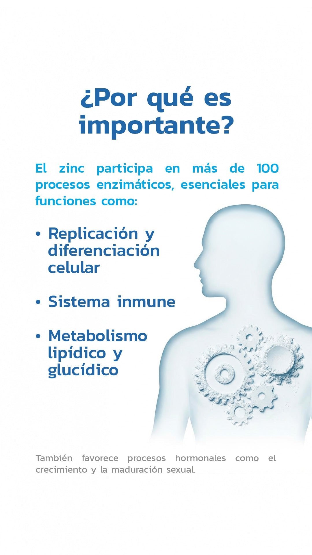 Zinc OptiZinc®️ 50mg 60 Cápsulas - Essentials