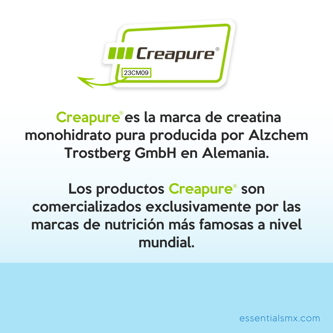 Creatina Monohidrato Essentials // (Creapure®️)
