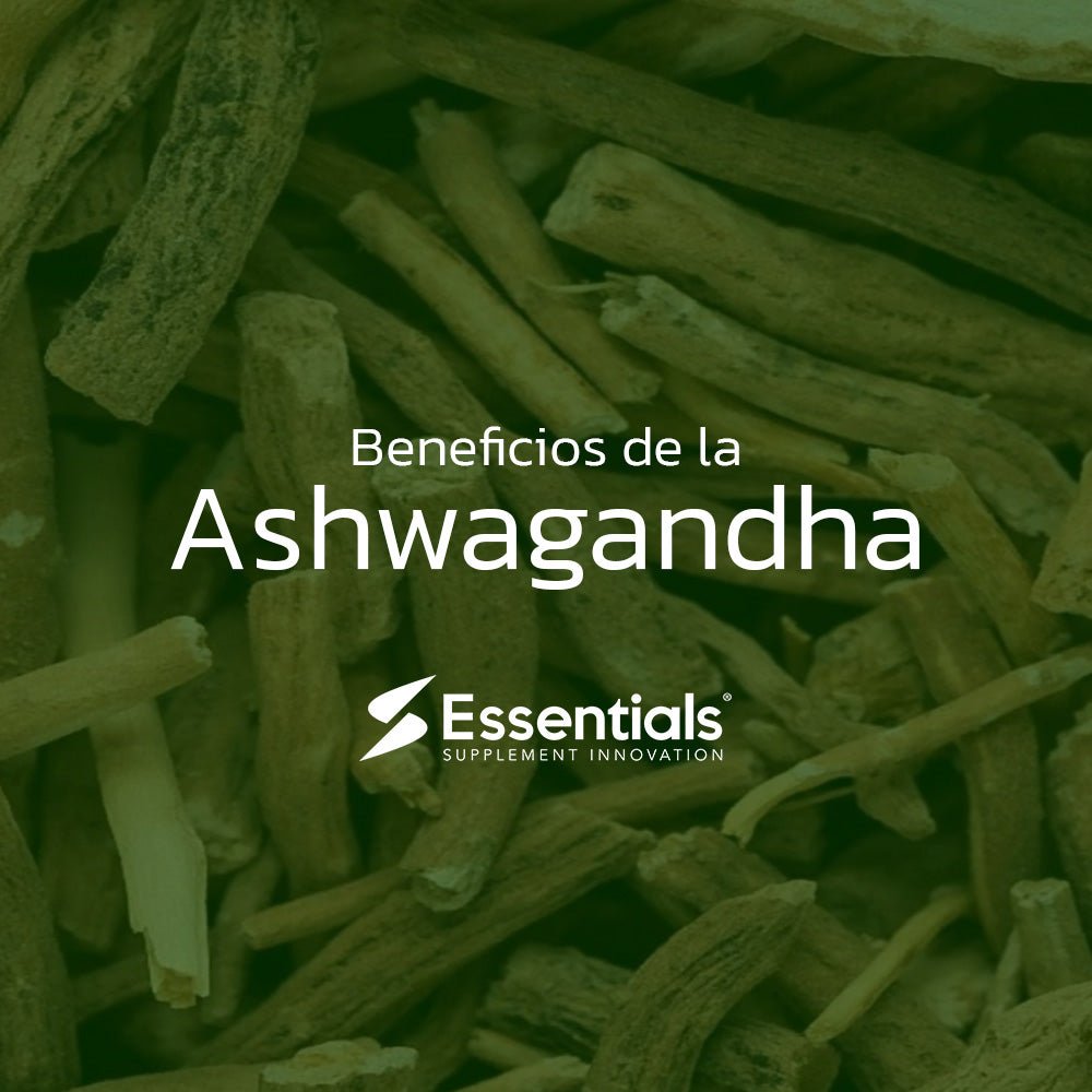 8 beneficios de la ashwagandha, respaldados por investigaciones.