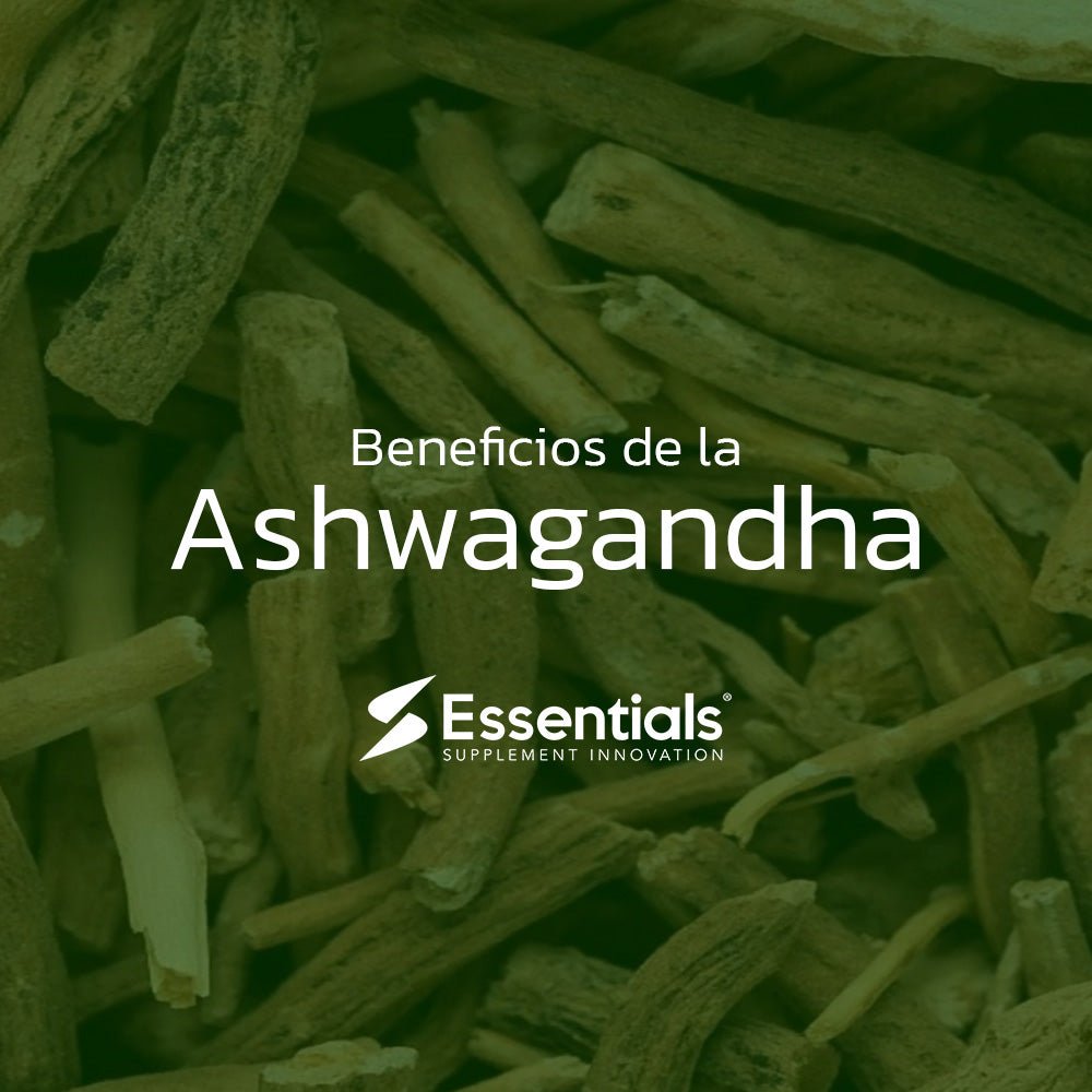 8 beneficios de la ashwagandha, respaldados por investigaciones. - Essentials