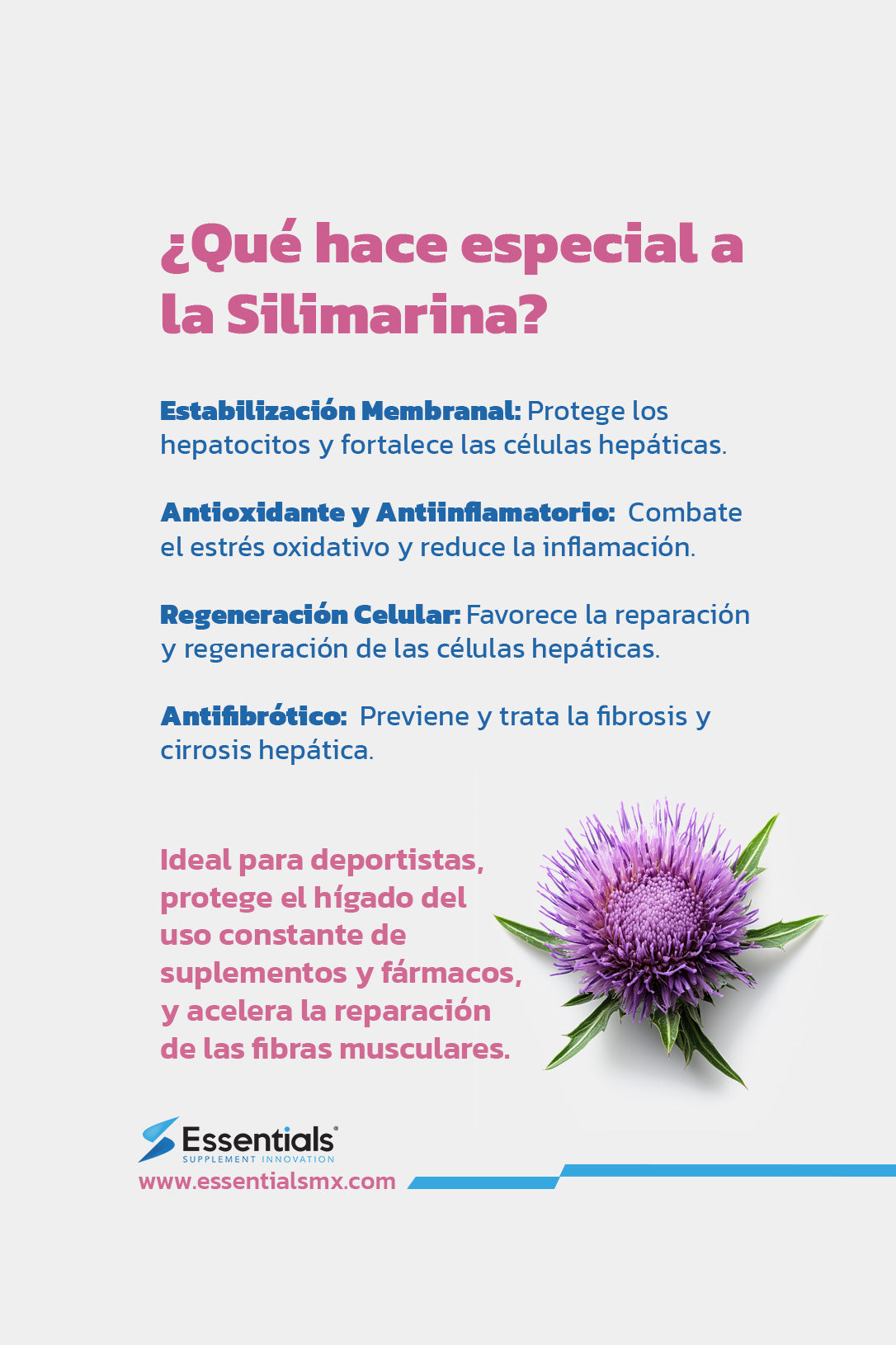 Silimarina 400mg  60 capsulas