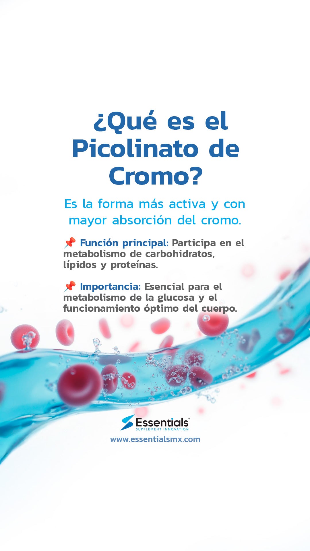 Picolinato De Cromo - 60 Caps