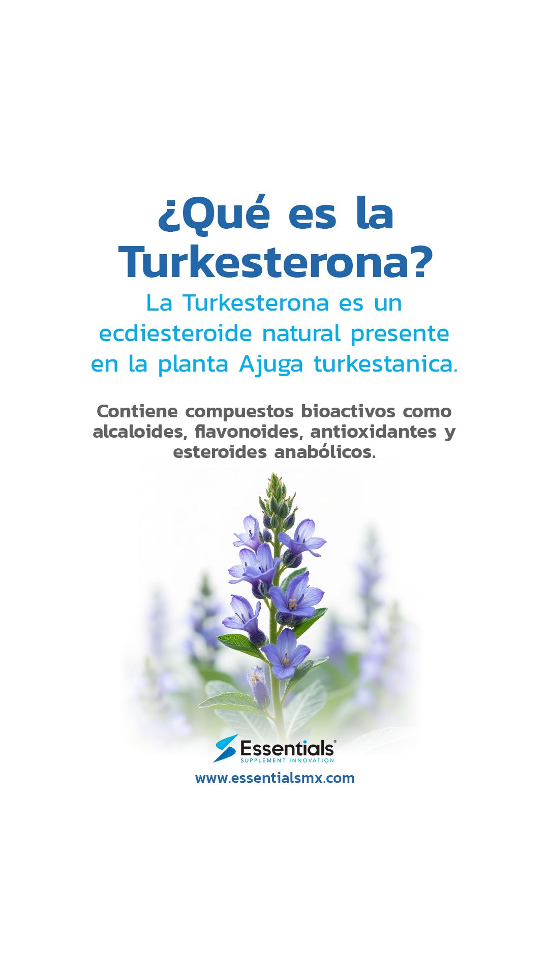 Turkesterona - 60 Cápsulas