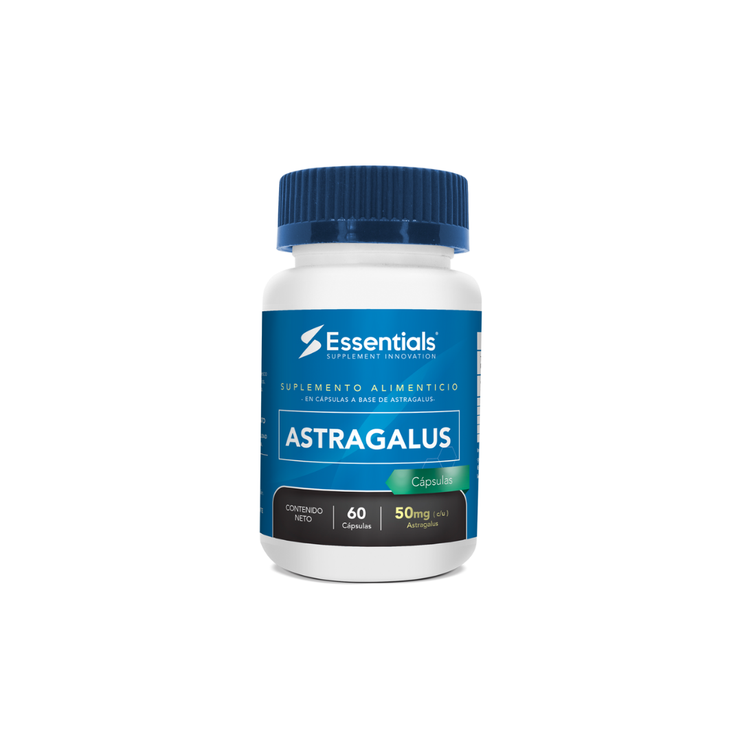 Astragalus 500mg