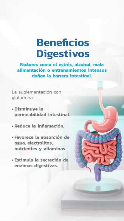 Glutamina - 500g - Essentials
