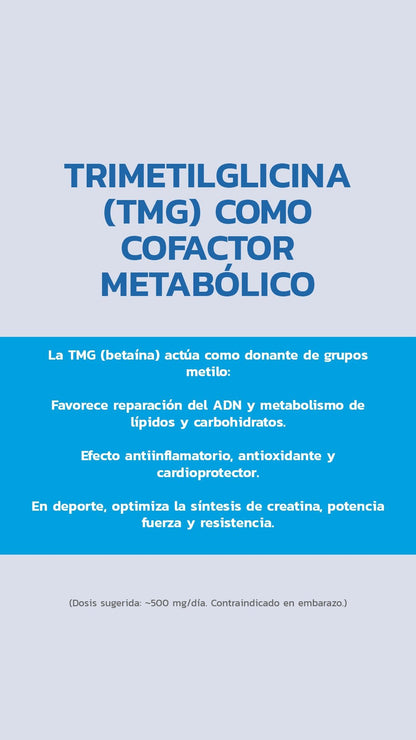 Pure NAD+ 500mg 60 Cápsulas - Essentials