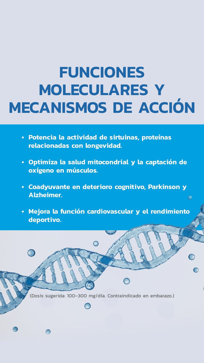 Pure NAD+ 500mg 60 Cápsulas - Essentials