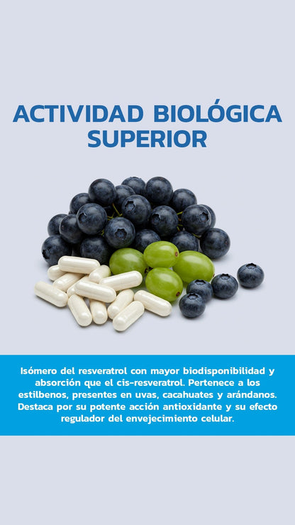 Trans - Resveratrol 98% 500mg 60 Cápsulas - Essentials