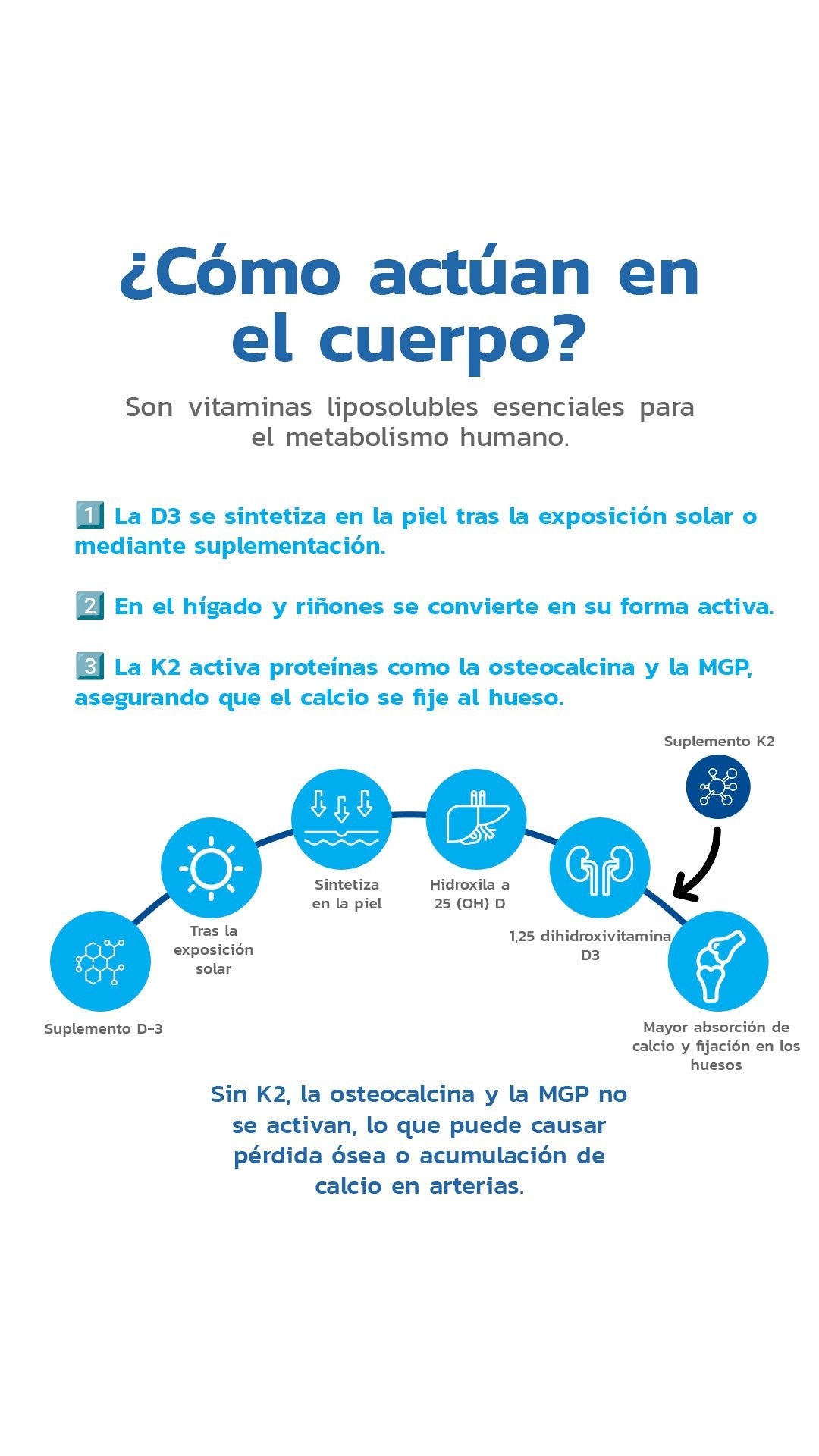 Vitamina D3 + K2 500UI 60 Cápsulas - Essentials