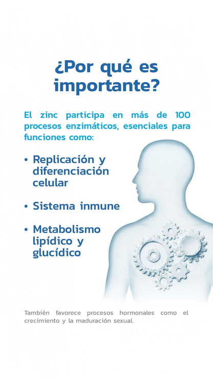 Zinc OptiZinc®️ 50mg 60 Cápsulas - Essentials